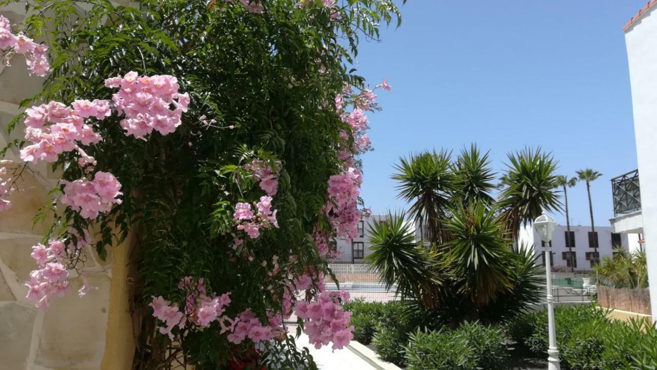 Tenerife Altamar Paradise Playa de las Americas  Luaran gambar